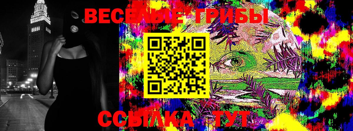 Псилоцибиновые грибы MAGIC MUSHROOMS  Вход с VPN  Галлюциногенные грибы GOLDEN TEACHER  Ишимбай 